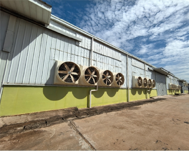 负压风机车间排风