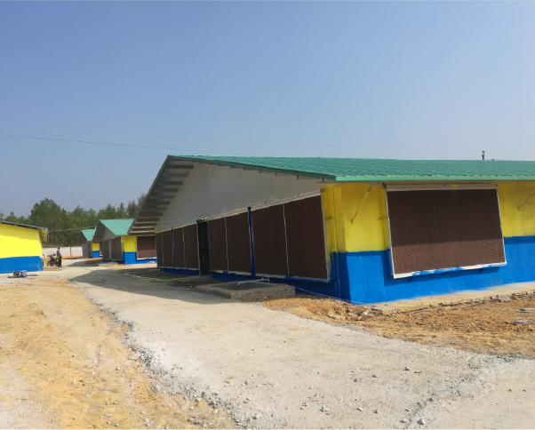 水帘墙降温案例（越南）